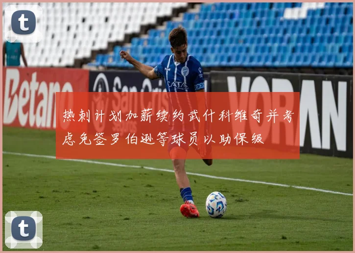 热刺计划加薪续约武什科维奇并考虑免签罗伯逊等球员以助保级